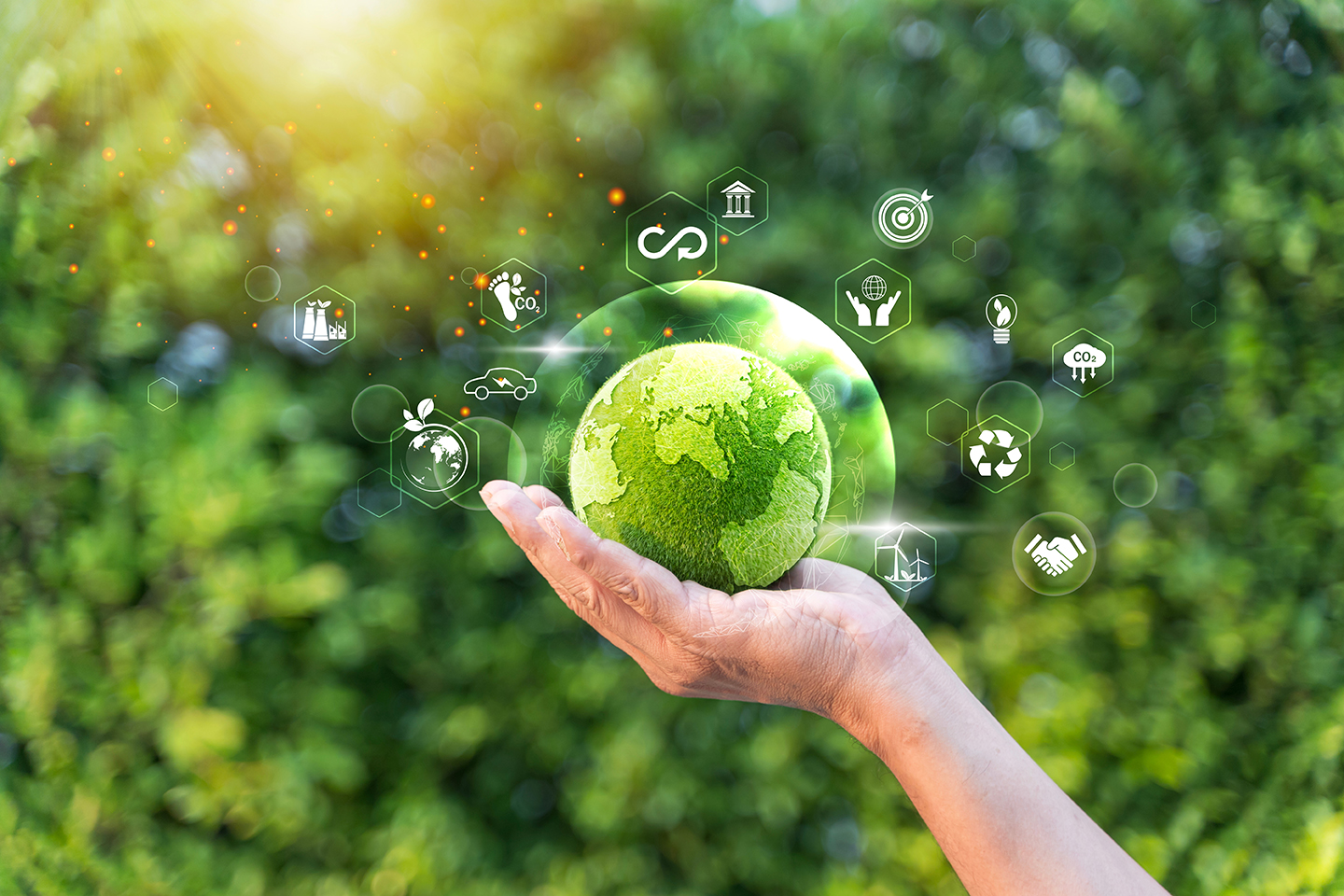 社会貢献活動への取り組み